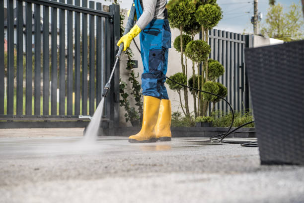 Best Sidewalk and Walkway Cleaning  in North Aurora, IL